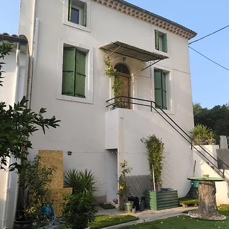 Orchidee & Kinky Bed & Breakfast